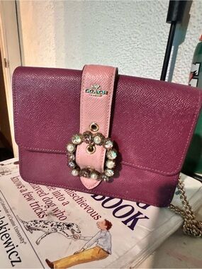 Coach Two-Tone Plum and Pink Leather Chain Crossbody